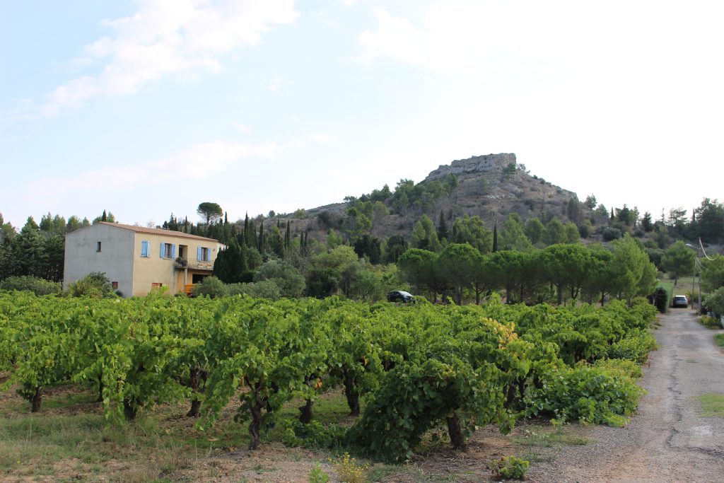 PLU Montséret / 620 hbs (11)