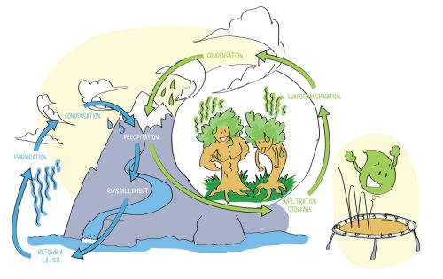 Schema eau Cycle de l eau